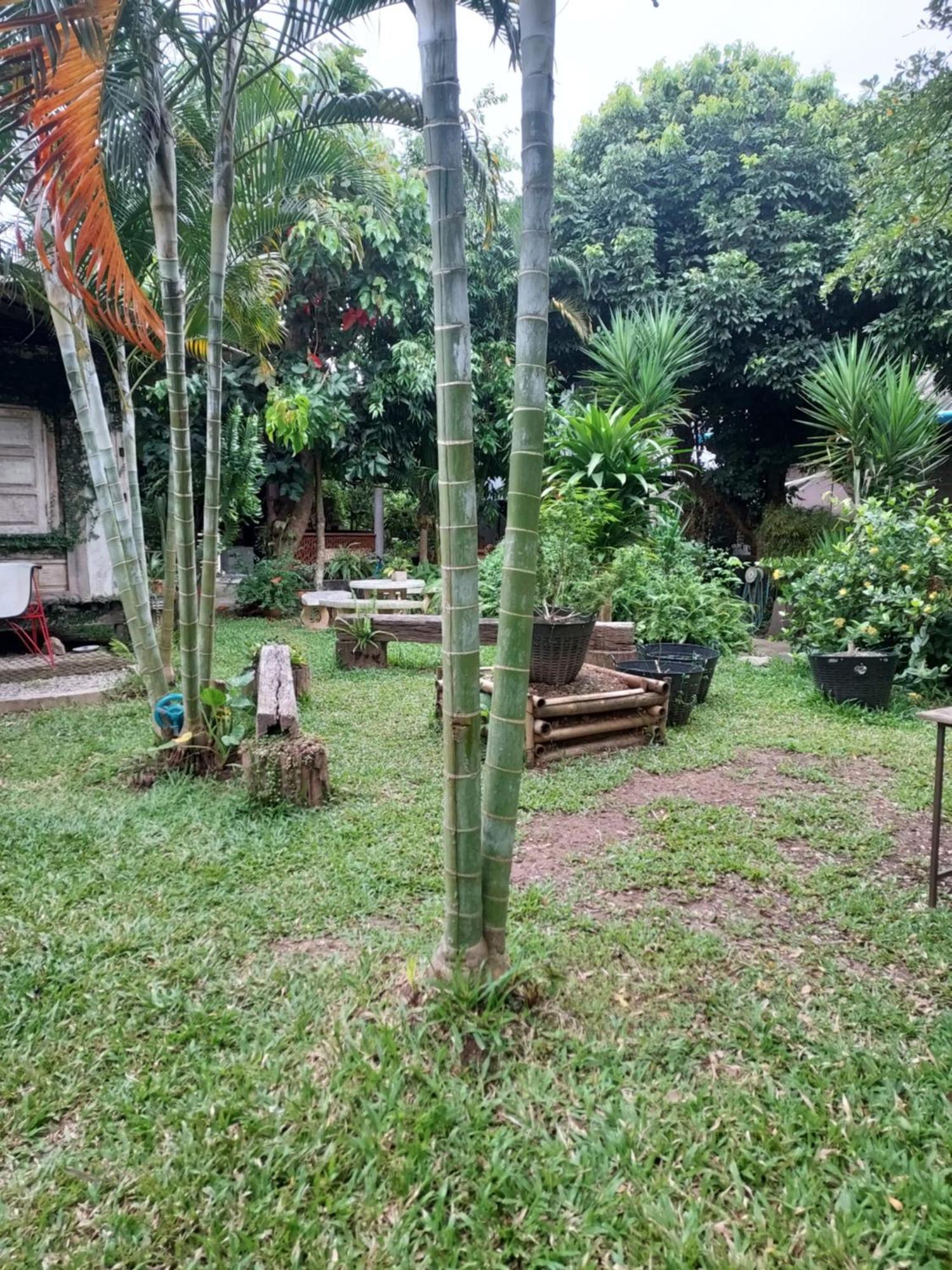 Kwanlah Homestay Landkreis Landkreis Mae Chaem Exterior foto