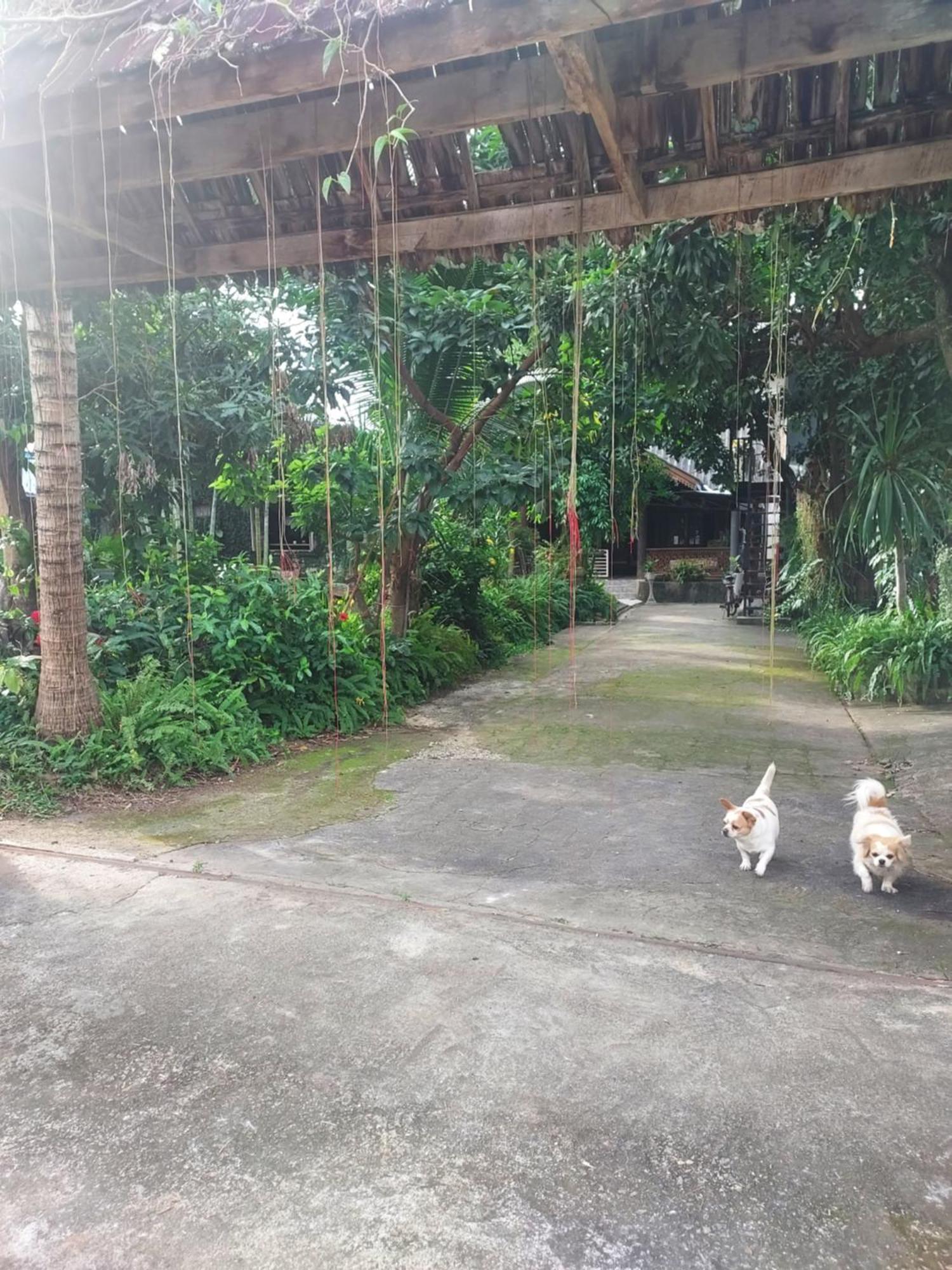 Kwanlah Homestay Landkreis Landkreis Mae Chaem Exterior foto